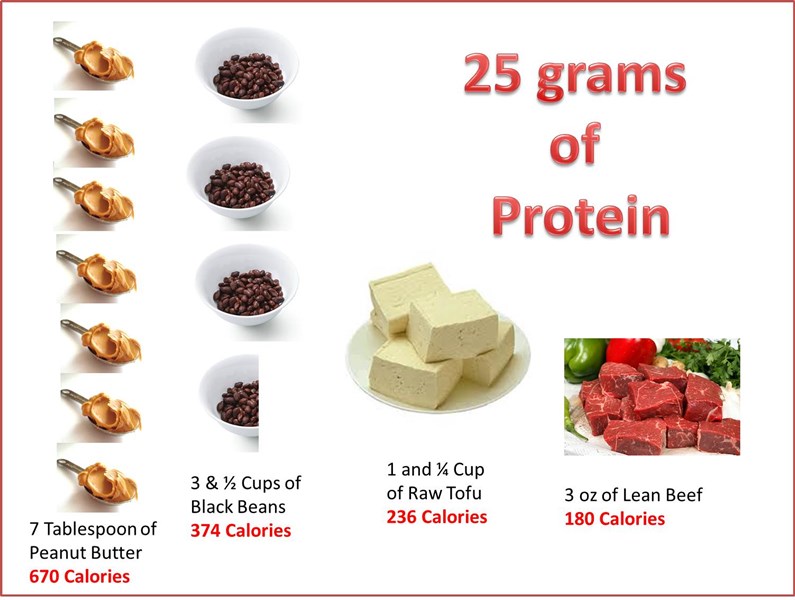 25 грамм протеина